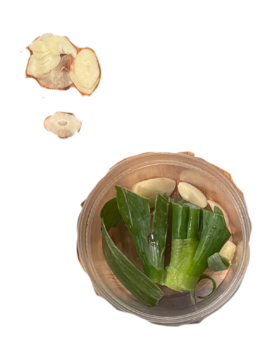 garlic & green onions